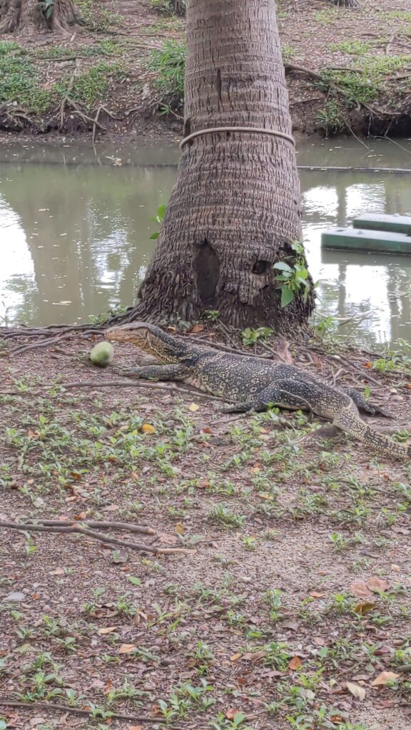 ルンピニー公園