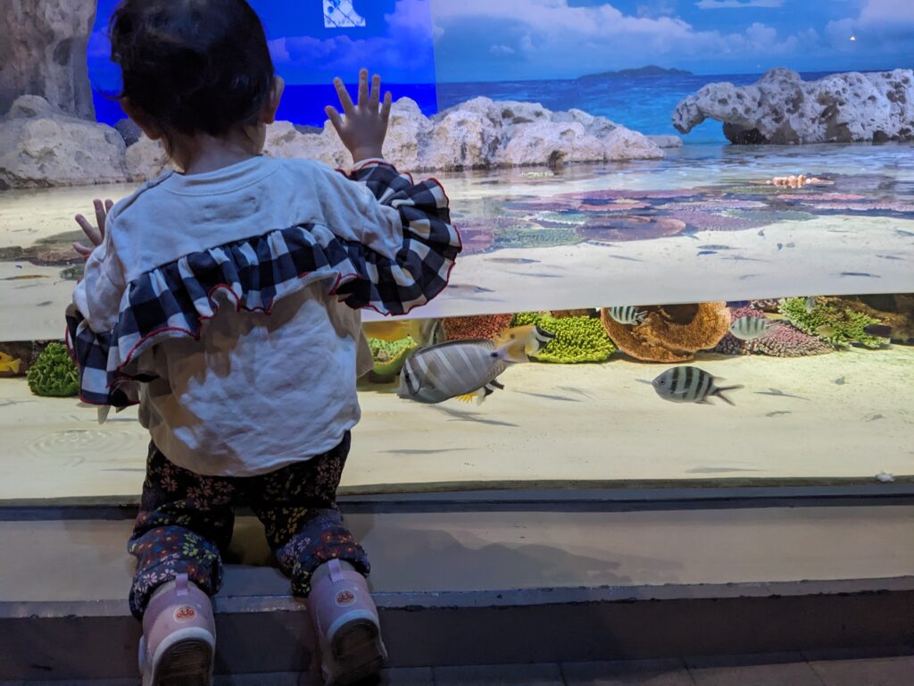 かりゆし水族館の水槽