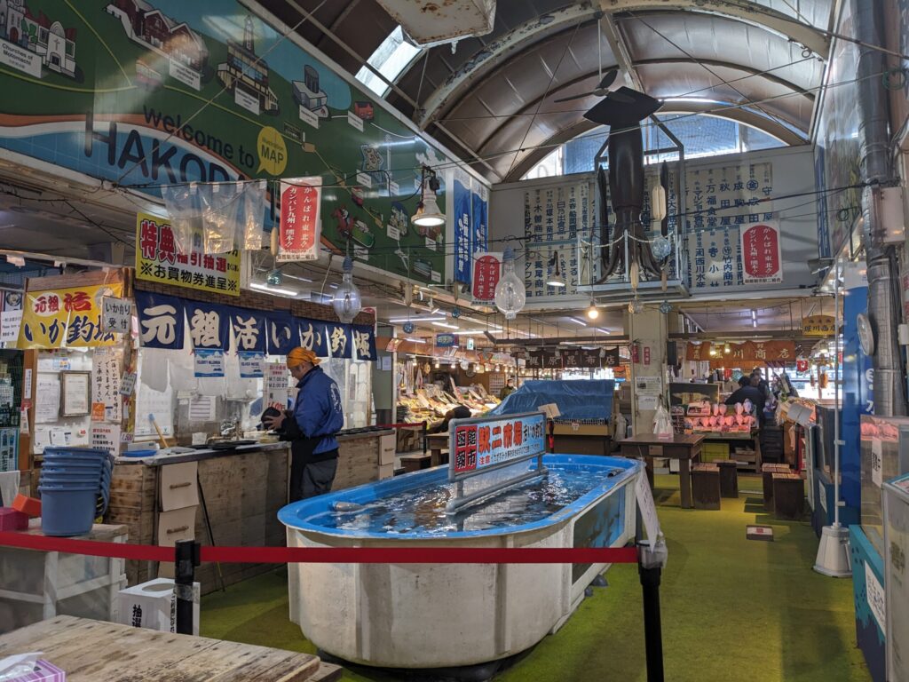 函館イカ釣り