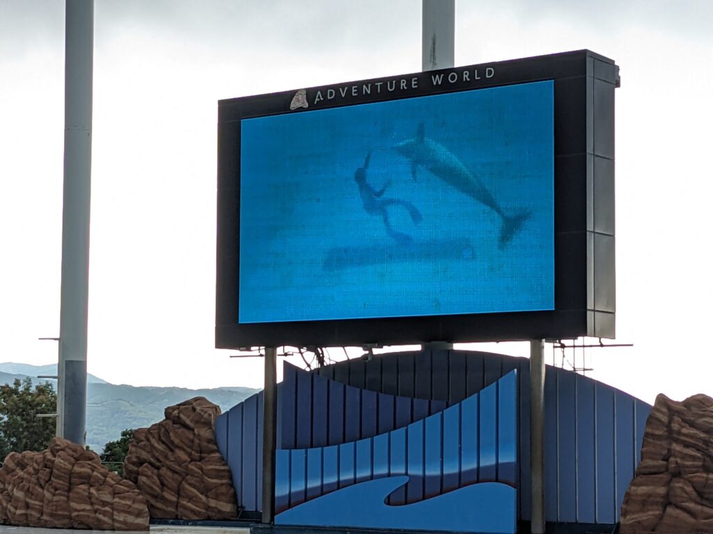 アドベンチャーワールドのイルカショー