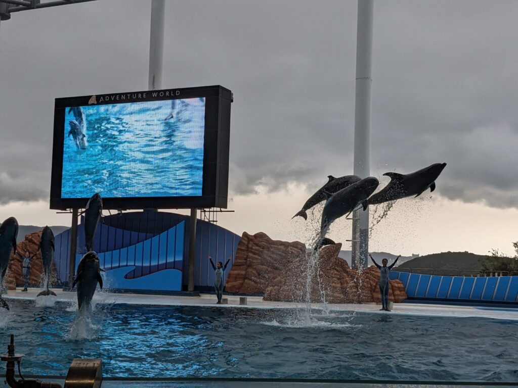 アドベンチャーワールドのイルカショー