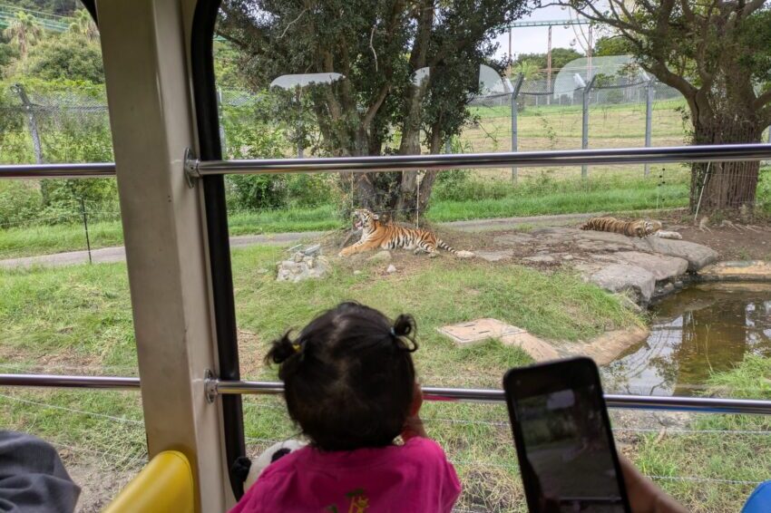 アドベンチャーワールドのサファリワールド