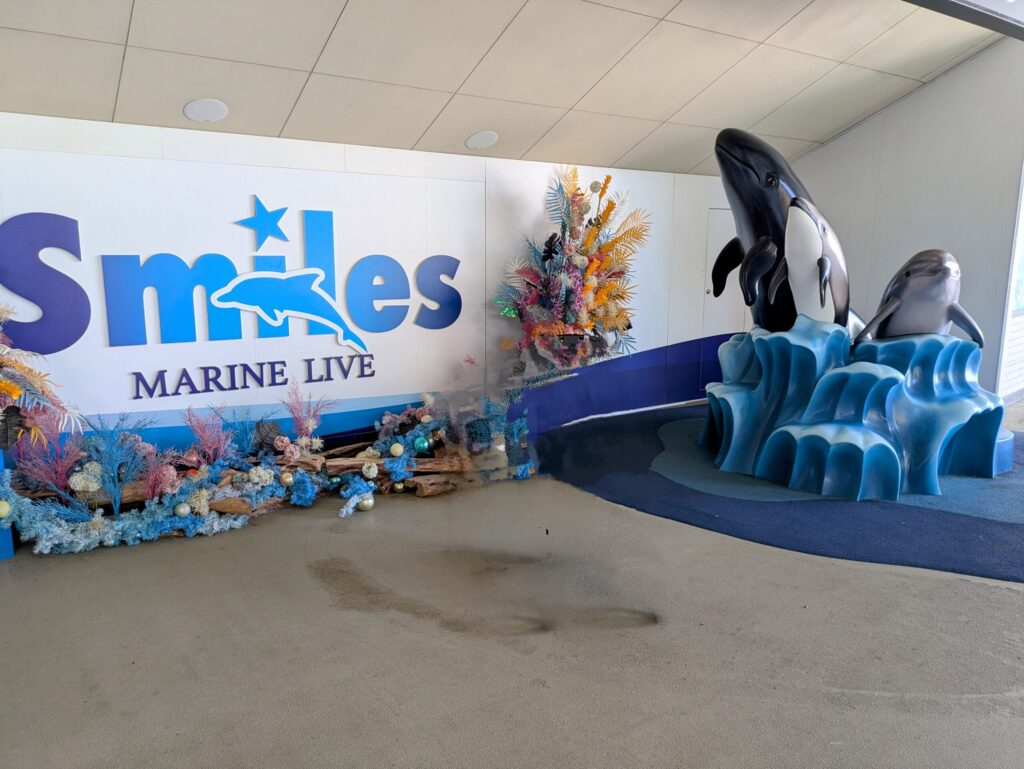 アドベンチャーワールドのイルカショー