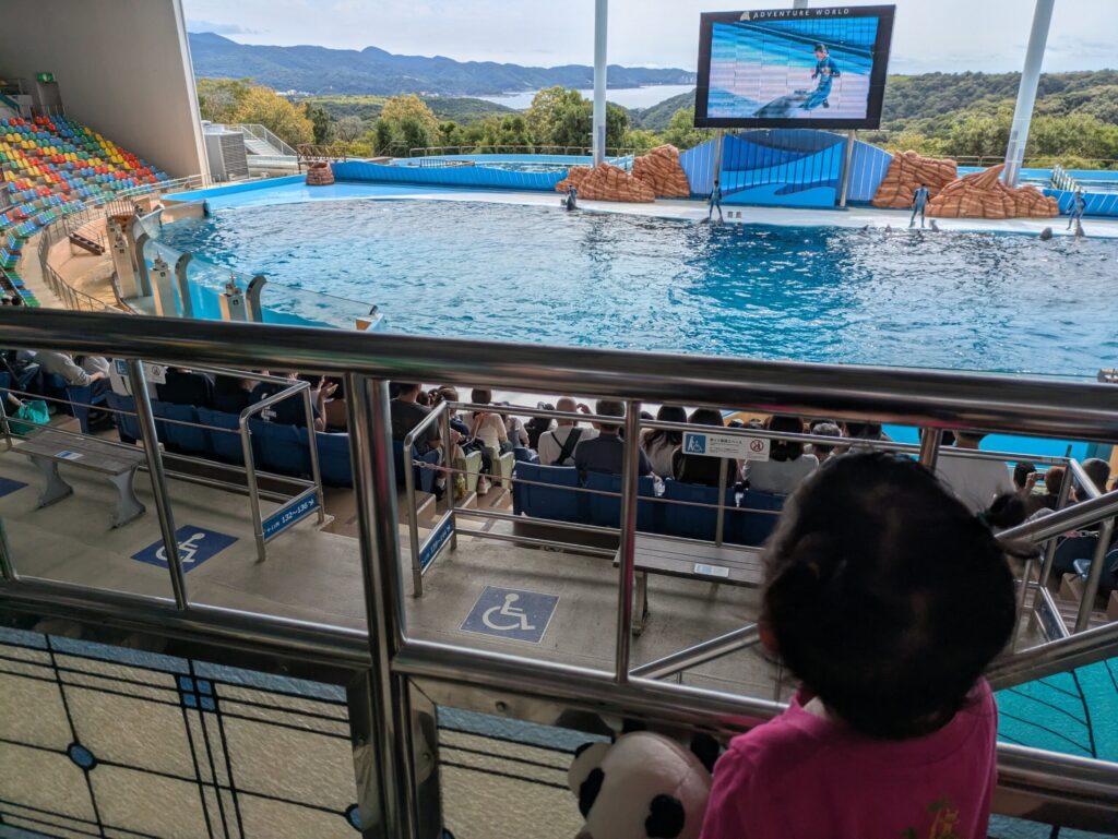 アドベンチャーワールドのイルカショー